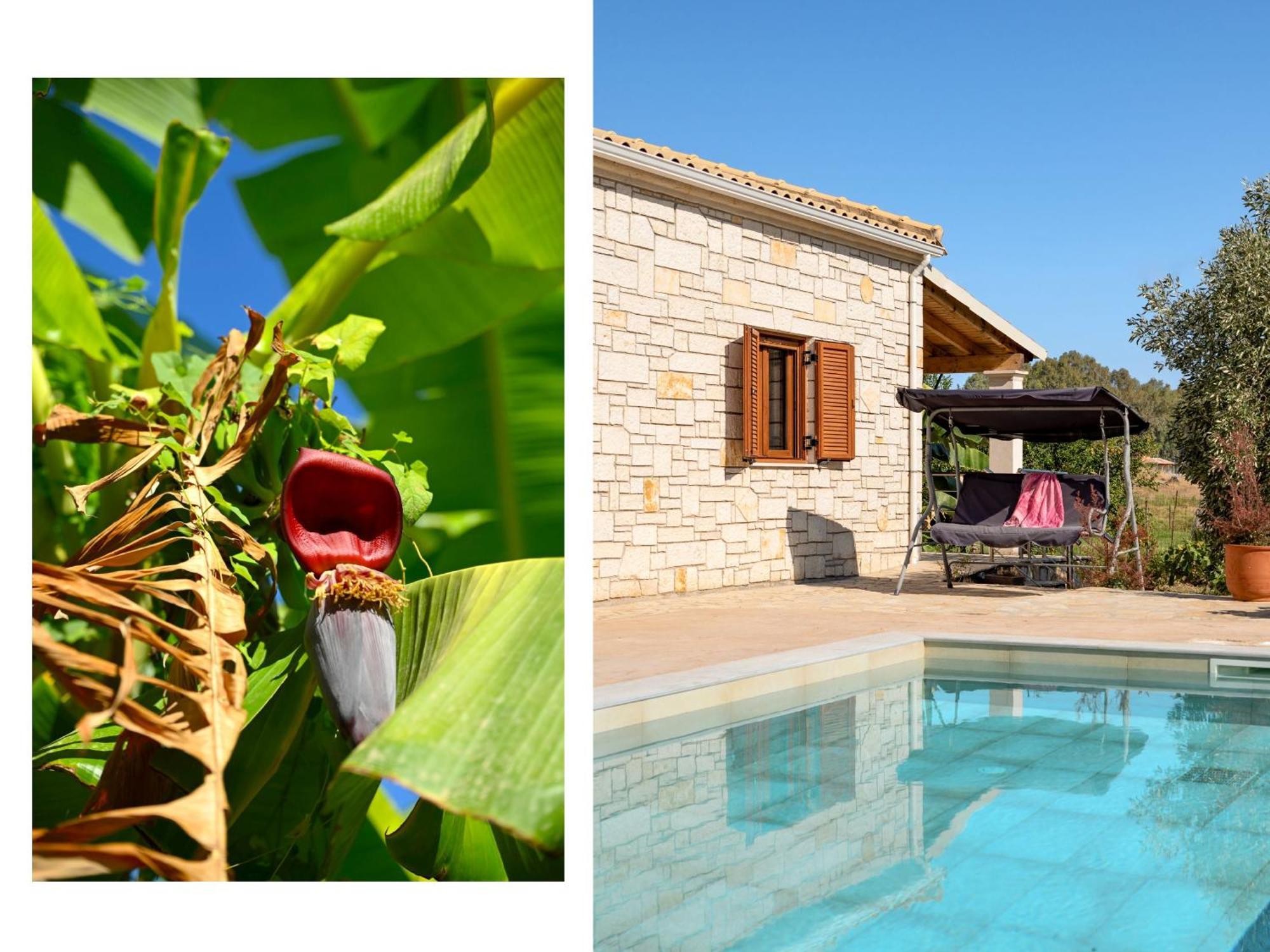 Sofia Stella Villa Pithos
